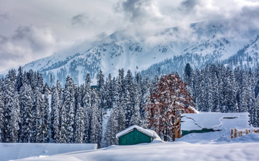 TRAVEL IN KASHMIR 