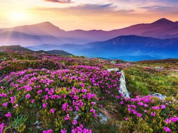 travel in uttarakhand